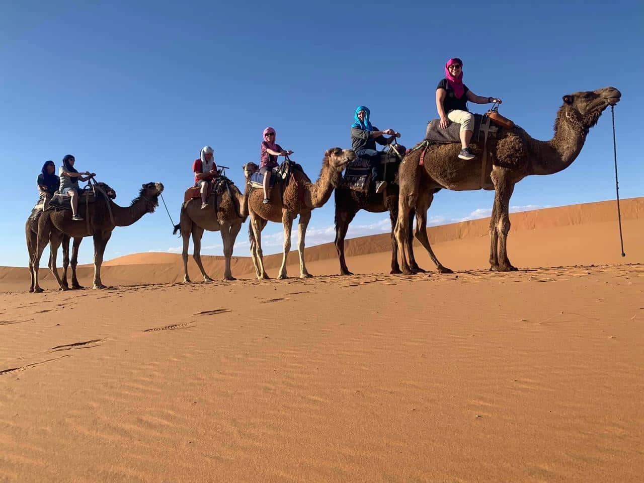 Desert Sahara trip in Morocco. Photo from Sahade Explore tourist guide.
